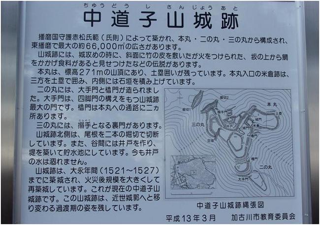 ����̈ē��Ŕ�