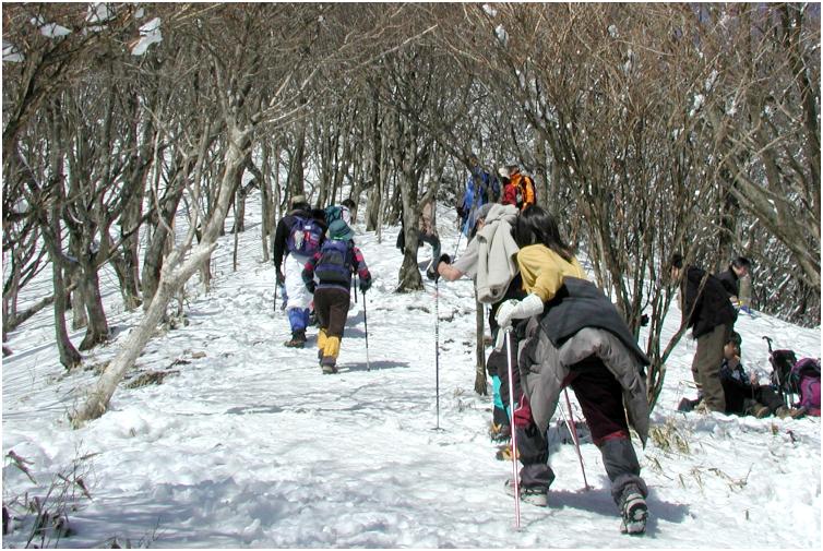 �����O�R�O�O���[�g��������̃u�i��