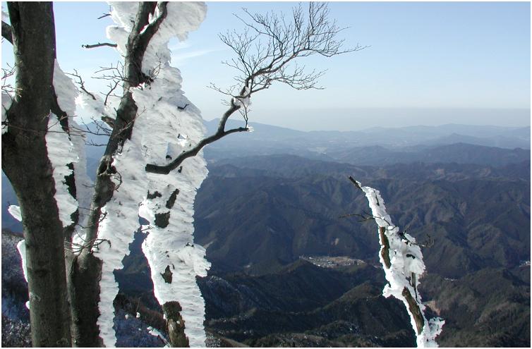 ������X�̌��Ԃ���k������