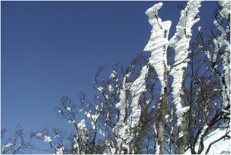 ���Ƃ��|�W�V�������m�ۂ��āE�E�E�E�������L��������܂����B