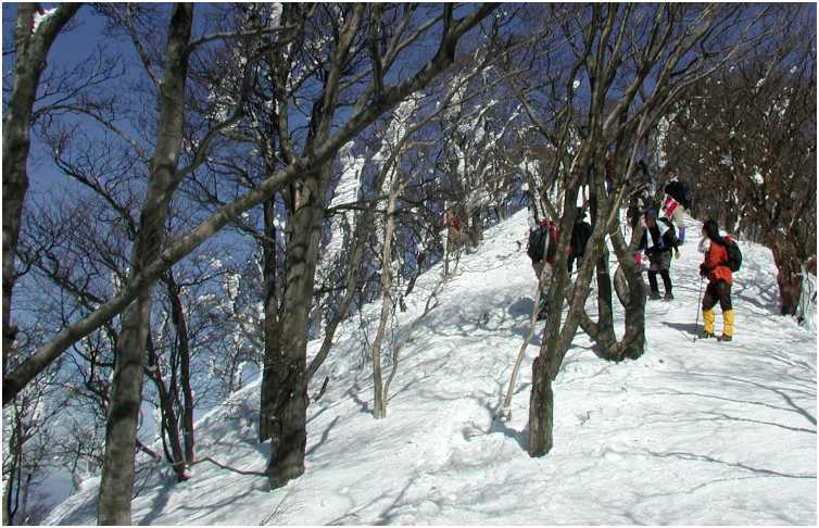 �����萼�������؁@���̓�����̎��X���ō��I(^_^)v