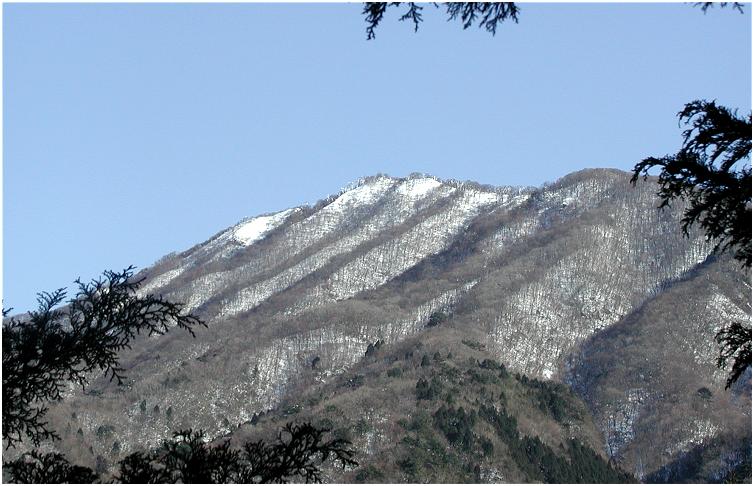 ���R���̏������򓖂��肩�猩�������R