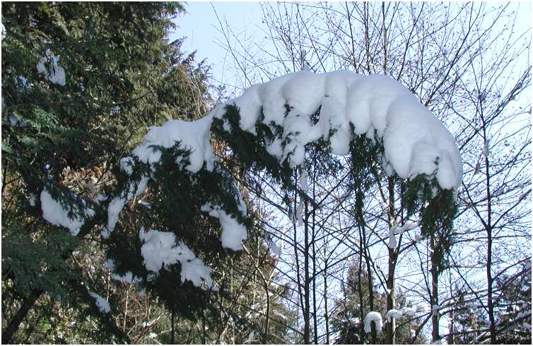 ��̏d�݂ɑς����˂āE�E�E�E�������班������������