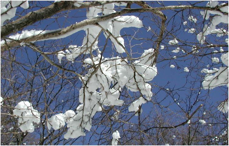 ���������΁E�E�E�E