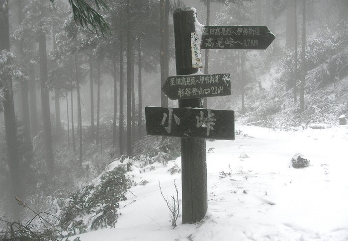 ���ꎞ�Ԃŏ����ɓ������܂����B