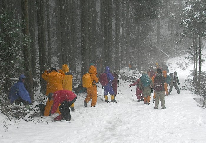 ���тɐႪ�A�����t���炢�̐�ɂȂ藧���x�e�ł��B