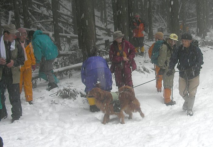 �ˑR�A���������𔺂����������R���Ă��܂����B�����o�[�̊F���񒍖ځI(��)