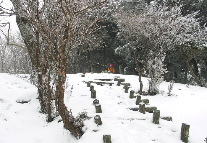 ���ӂ肩��؁X�̎��X���Y��Ɍ����o���܂����B