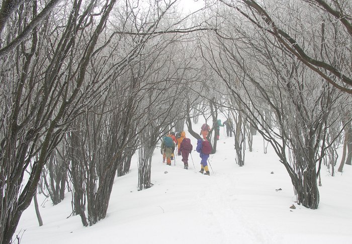 �u�i�т̒���فX�ƁE�E�E�E