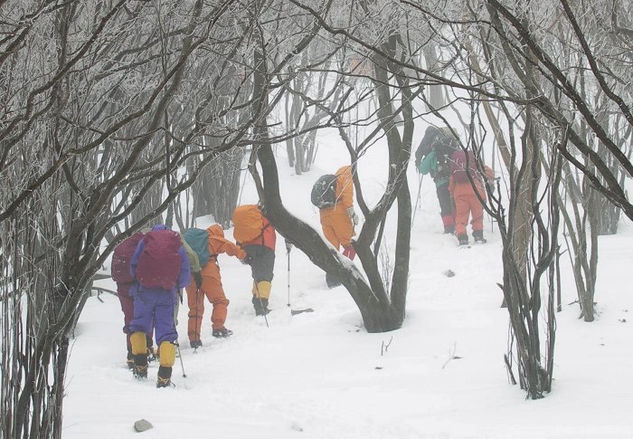 �u�i�т̒���فX�ƁE�E�E�E