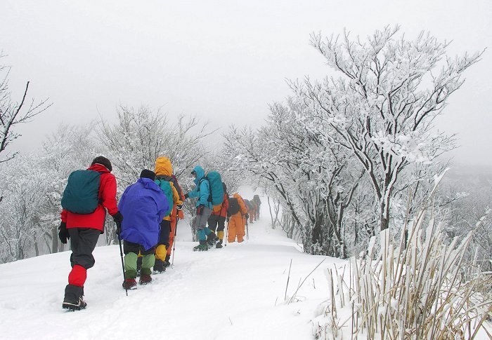 �ڑO�̗��T�C�h�Ɏ��X�Q�̃g���l���������Ă��܂����B