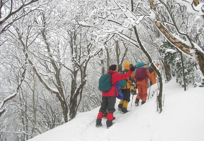 �s���񂪎v�킸�X�g�b�N�ŁA�؂�@���܂����B��͓���t���ė����Ă��Ȃ��I(��)