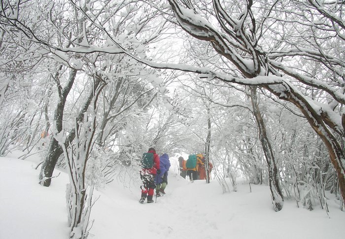 ����ɋߕt���ɂ�āA�n�����؁X������̐��E�ł��I(^_^)v