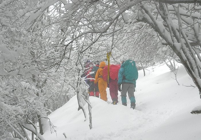 ���X�̃g���l����فX�ƕ����܂��B