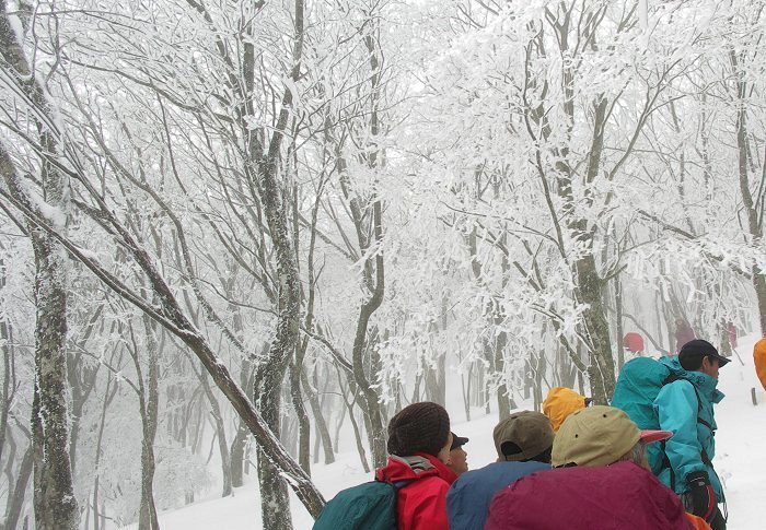 �������璸��܂ł̐��V���b�g�A���ȃR�����g�͏ȗ��ł��B