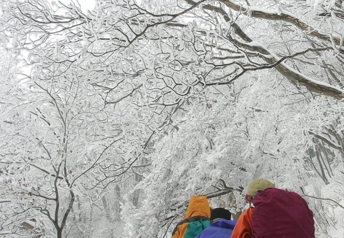 ���X�̒�������I(^_^)v