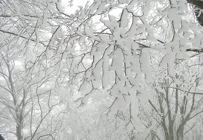 ���X�̒�������I(^_^)v