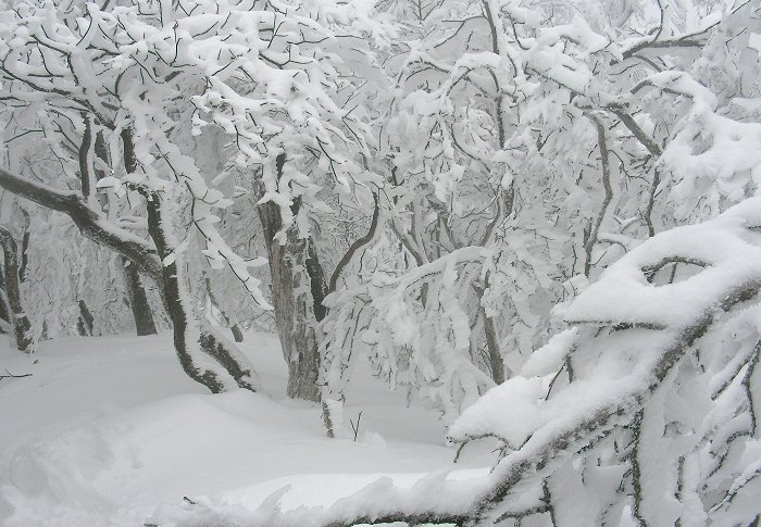 ���X�̒�������I(^_^)v