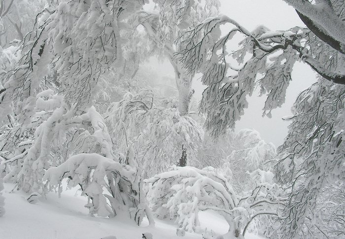 ���X�̒�������I(^_^)v