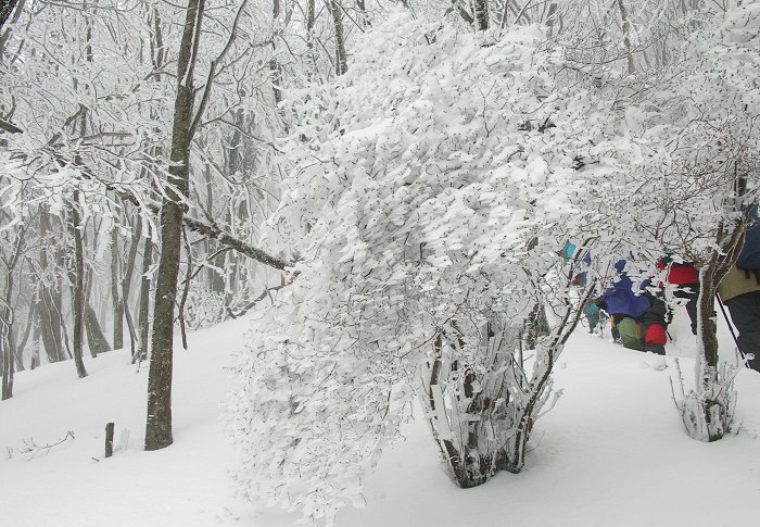 ���X�̒�������I(^_^)v