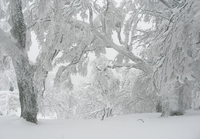 ���X�̒�������I(^_^)v