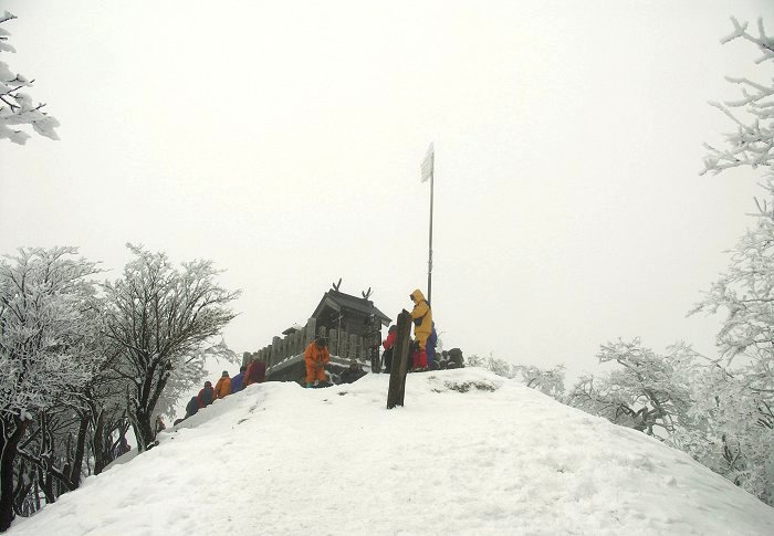 ���X�Q�̍����Ԃ��璸��̍��p�_�Ђ������Ă��܂����B�𗋐j�̃g�b�v�ɂ��G�r�̐K���������Ă��܂��B