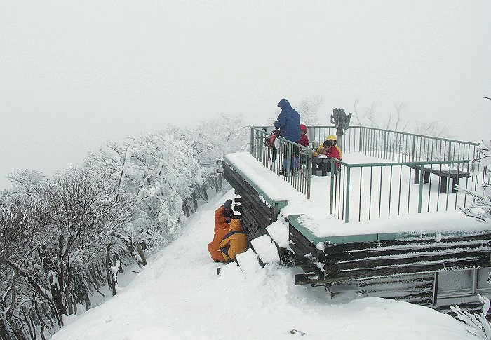 ���p�_�Љ��̔����ł��B����ɂ͏����Ō��������e�q�A�ꂳ�񂪐H��������Ă��܂����B