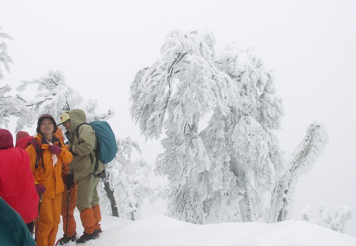 �R���t�߂̎��X�I