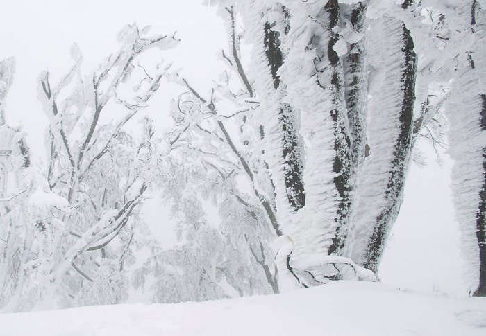 ����ł̂ЂƎ���ɉ��R�̊J�n�A���R������̃����V���b�g�ł��B��������̗Ő��͖k����̖Ґ���Ŏ肪Ⴢ�ĎB�e�̓X�g�b�v���Ă��܂��܂����B(-_-;)�G�r�̐K�����`�������̂��[�����܂����B