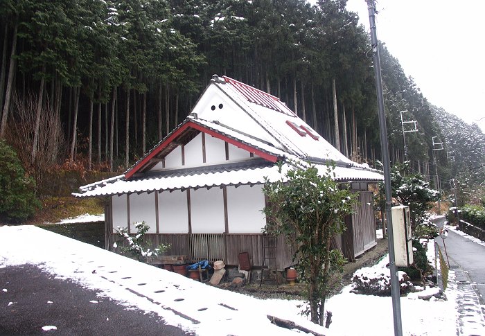 ���ォ���Q���ԂŁA���Ƃ̉��ɉ��R���Ă��܂����B