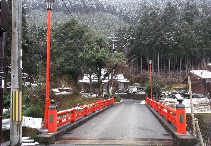 �����ɉ˂���Ԃ����A�O�m�Y���ł��B