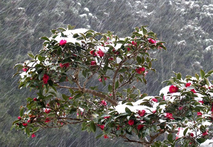 ���򃍃r�[�̃K���X�ˉz���Ɍ������u���ցv�ł��B���O�͖Ґ���ł��B