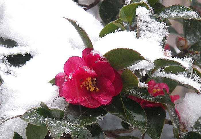 ������ɐԂ��ԁA�ቻ�ς̊��ւɂ����������܂����B(^_^)v�@�������L��������܂����B