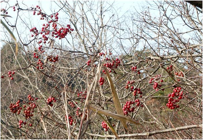 ���̌�A�i�^�Ńo�b�T���ƁE�E�E�E�O�i���邽�߂ɂ́I