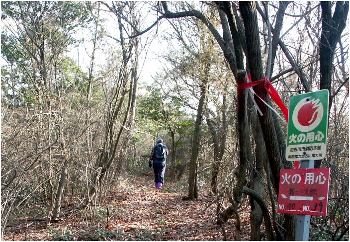 �S���R�X����S�O�ւ̏����H�Ť�悭��������Ă��܂������W�]�͂m�f�I(-_-;)