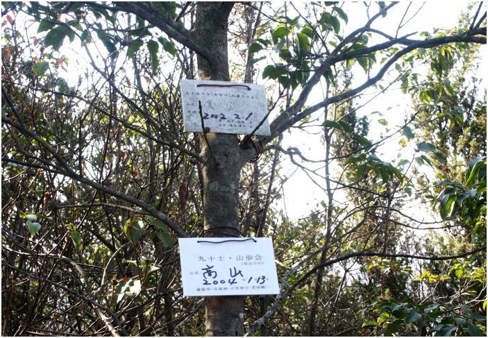 ����̉��́A�w��ȏ�̎G�؂ɕ����Ē���ɗ������C�������킦�܂���ł������A�u��\�m�E�R����v�̊F��������������ɑO��o�R�̃v���[�g�𒭂߂Ă����܂����I