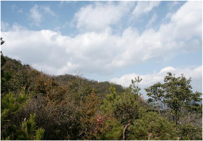 ����ł̈ꎞ��A�員�R�֌������ĉ��R�r���U������āE�E�E�E�E