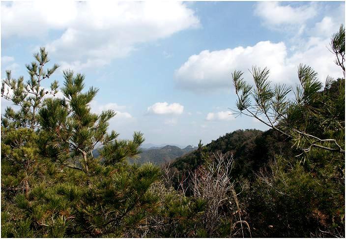 ���ς�炸�̗��T�C�h�̎G�ؗт̊Ԃ���A�����s�@�؎R�̘A�R�������Ă��܂���