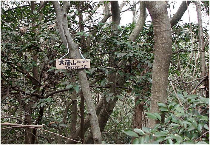 �����؂ɉ˂������A�A�}�`���A�����ǁu�i�g�R�i�e�e�v�ǂ̃v���[�g�A�A���l�b�g�Ō������Č��܂���������s�̕��ŁA�e�n�̎R�X�Ƀv���[�g���L�O�ɒu���Ă�����悤�ł��B