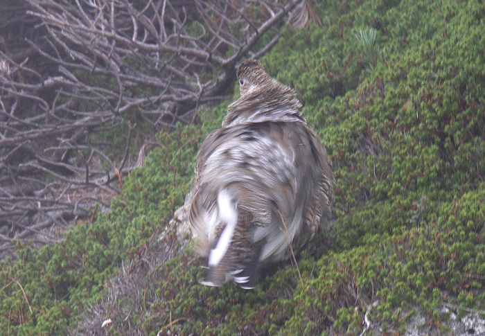 ����Ȏd�����A�����Ă���܂����I(^_^)v