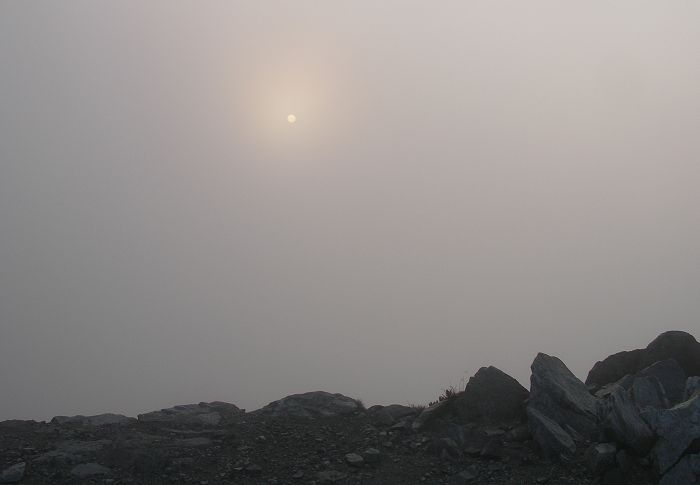 ���������Ȃ�����ł̂ЂƎ����߂����Ă��܂����A�_�Ԃ��瑾�z�����`�����܂����B