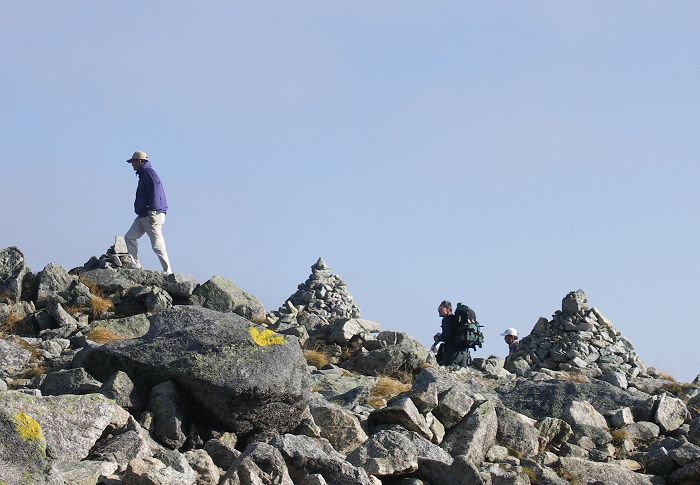 ���H�̌E�n���猩���A�Ő��̃P�����ł��B