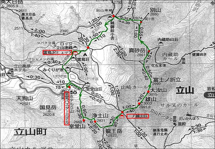 �����o�X�^�[�~�i�����A�ΐF�̃R�[�X������܂����B