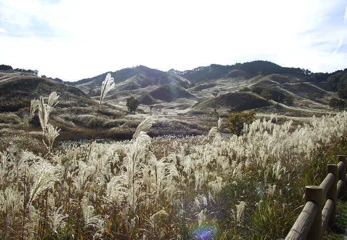 �ڑO��ʂ̌͂�X�X�L���A�����r���Ă��܂����B