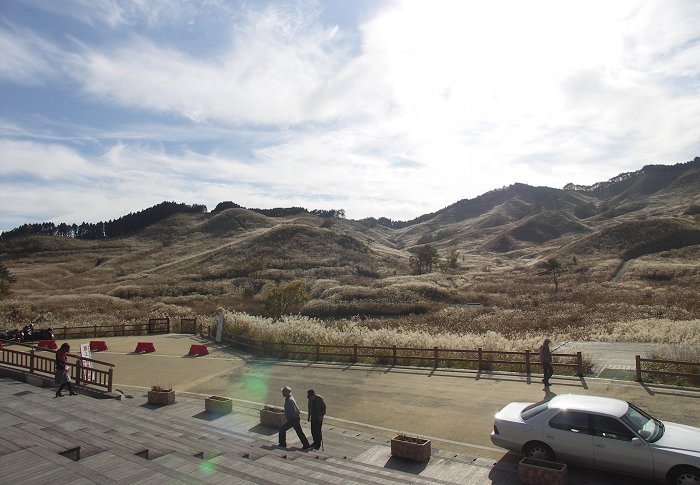 �u�Ƃ݂̂ˎ��R�𗬊فv���璭�߂��u�􍂌��ł��B