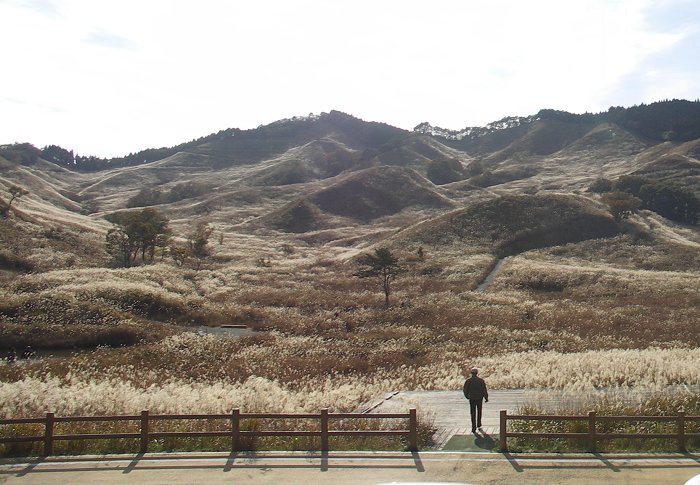 �u�Ƃ݂̂ˎ��R�𗬊فv���璭�߂������ł��B