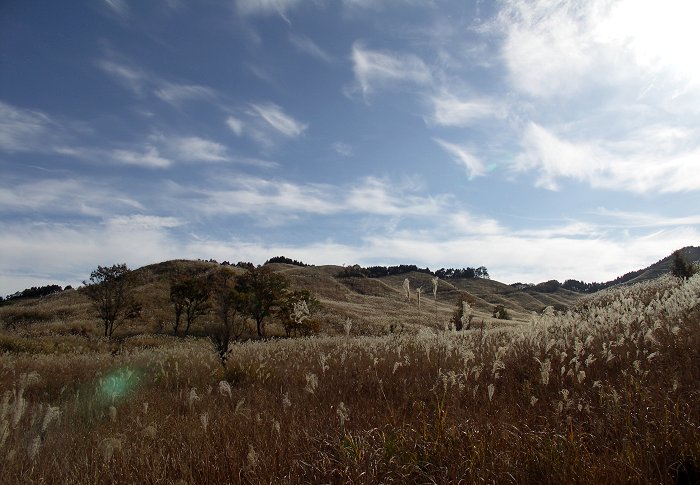 �����U��֑����I