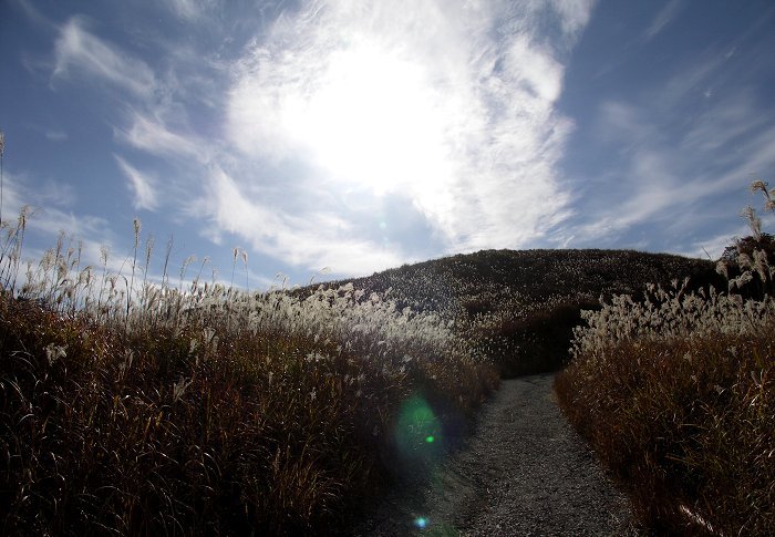 �f���炵���H�̋���Y�킩�����ł��I