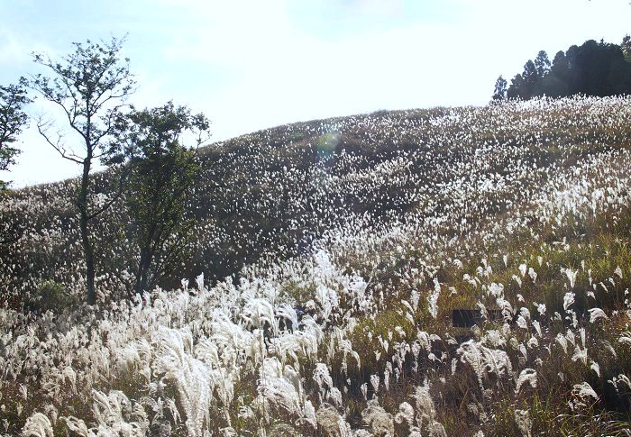 ����Zoom�ň��������āE�E�E�E