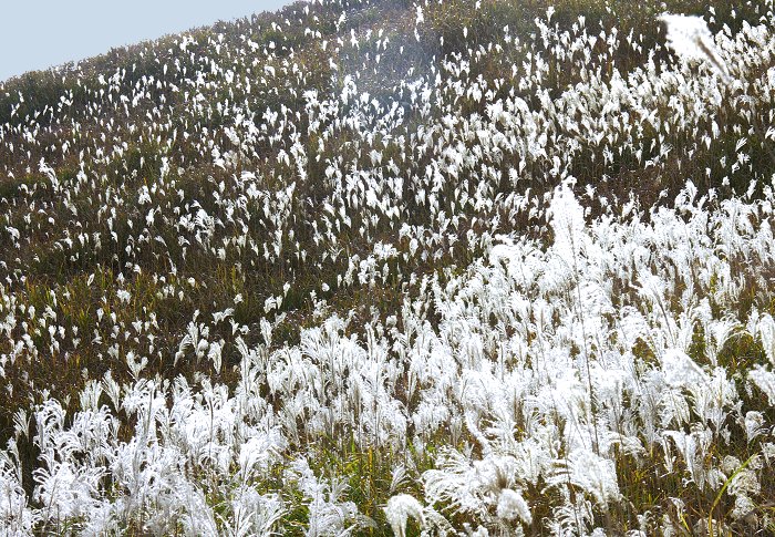 ������Zoom��t�ŁE�E�E�E